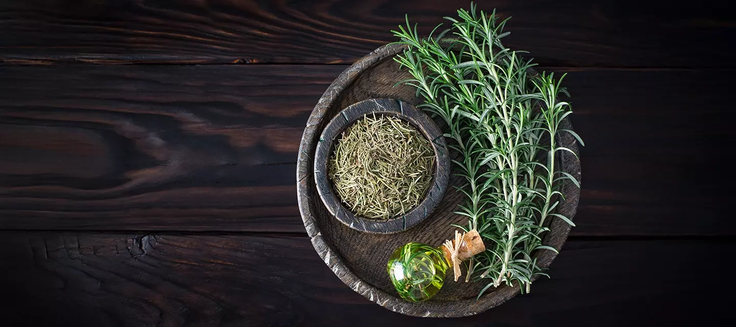 Best rosemary oil for hair growth on a dark background with brigh green rosemary branches on the side